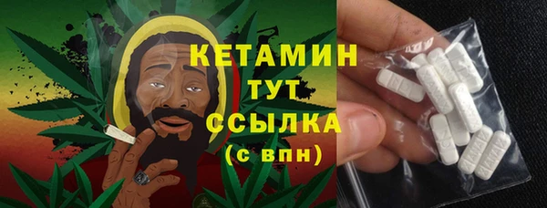 сатива Беломорск