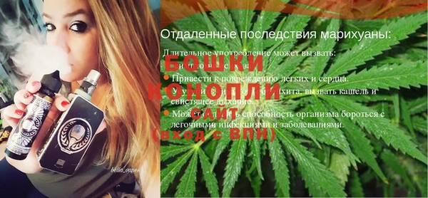 сатива Беломорск
