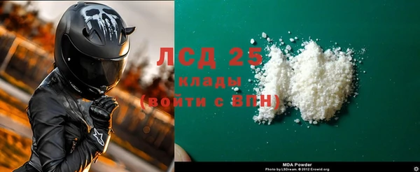 сатива Беломорск