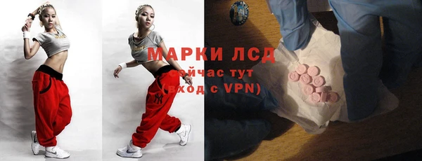сатива Беломорск