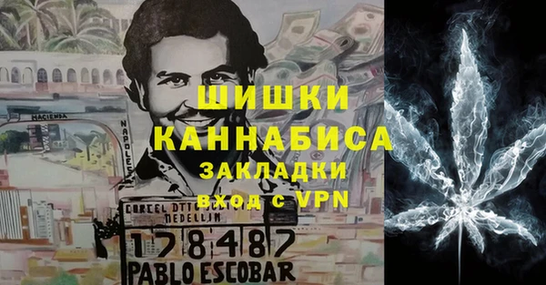 сатива Беломорск