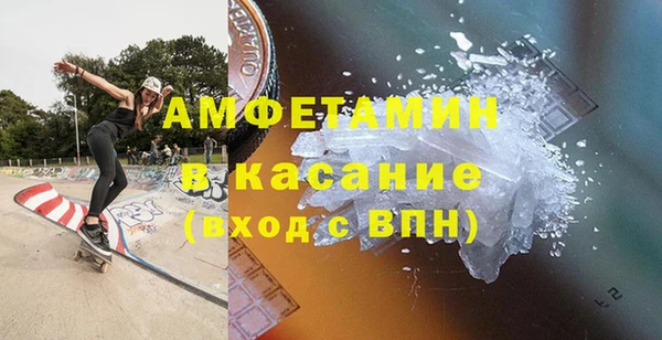 сатива Беломорск