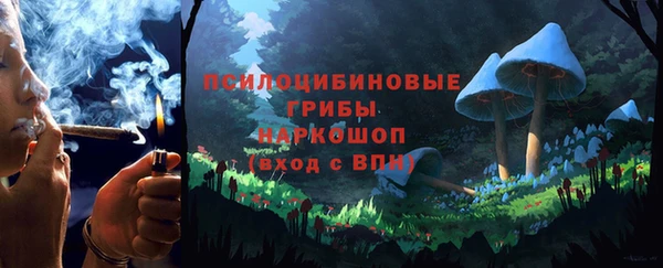 сатива Беломорск