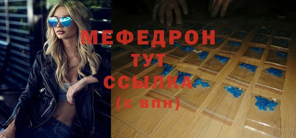 сатива Беломорск